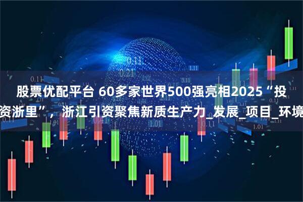 股票优配平台 60多家世界500强亮相2025“投资浙里”，浙江引资聚焦新质生产力_发展_项目_环境