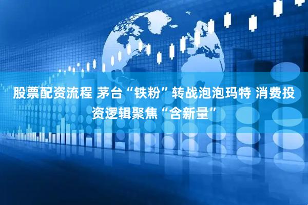 股票配资流程 茅台“铁粉”转战泡泡玛特 消费投资逻辑聚焦“含新量”