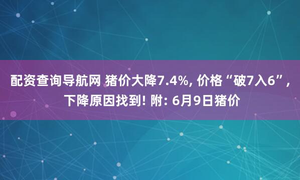 配资查询导航网 猪价大降7.4%, 价格“破7入6”, 下降原因找到! 附: 6月9日猪价