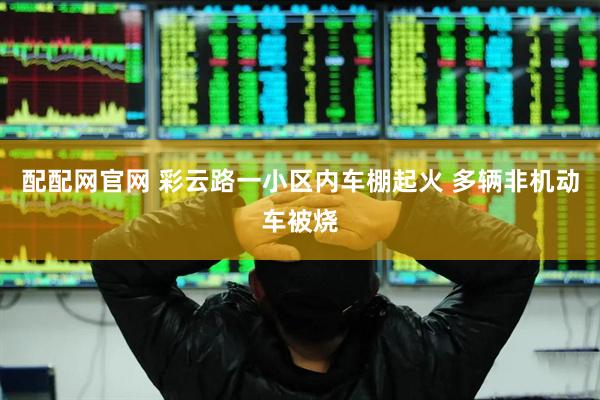 配配网官网 彩云路一小区内车棚起火 多辆非机动车被烧