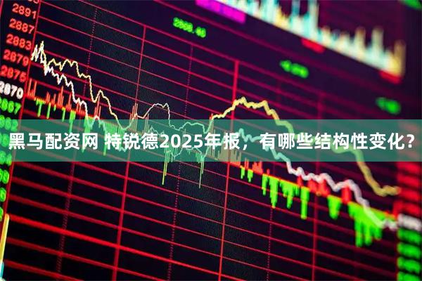黑马配资网 特锐德2025年报，有哪些结构性变化？